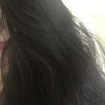 View Gallery Image #14