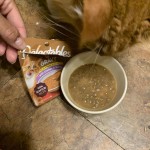 View Gallery Image #2