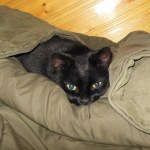 View Gallery Image #4