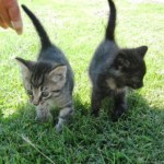 View Gallery Image #8