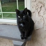 View Gallery Image #9