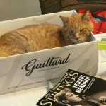 View Gallery Image #14