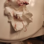 View Gallery Image #2