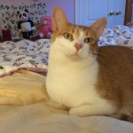 View Gallery Image #2