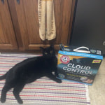 View Gallery Image #12