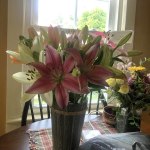 Vibrant Summer Lily Bouquet | 1800Flowers.com