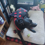 View Gallery Image #8