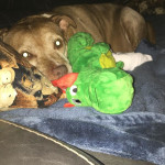 View Gallery Image #15