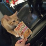 View Gallery Image #5