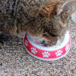 View Gallery Image #3