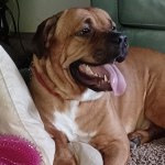 View Gallery Image #4