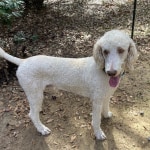 View Gallery Image #6