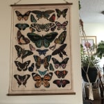 Butterfly tapestry outlet world market
