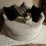Cambri snow oversized clearance chair