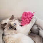 View Gallery Image #2