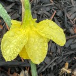 View Gallery Image #8