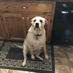 View Gallery Image #9