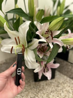 View Gallery Image #2