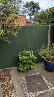 Green sales fence paint