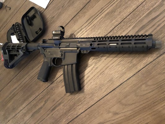 Leupold DeltaPoint Pro Reflex Red Dot Sight 2.5 MOA Dot AR