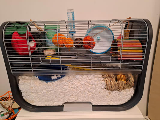 Cage geneva deals savic