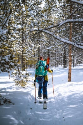 Marmot women's graviton 36 new arrivals