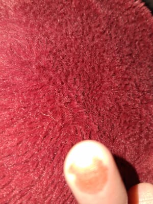 View Gallery Image #7
