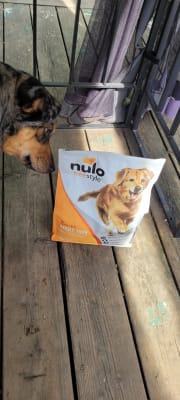 nulo cod and lentils