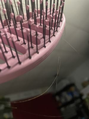 View Gallery Image #4