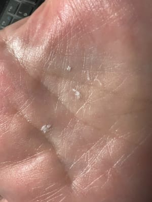 View Gallery Image #1