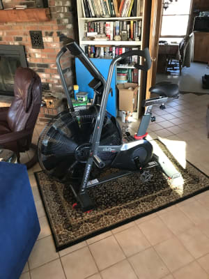 Airdyne best sale ad pro