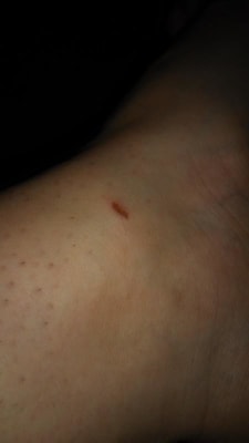 View Gallery Image #5