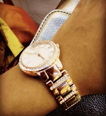 Virginia Rose-Tone Stainless Steel 