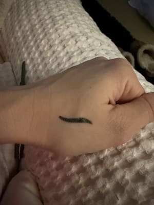 View Gallery Image #2