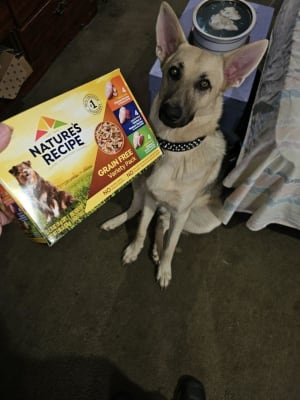 Nature's recipe venison dog food clearance