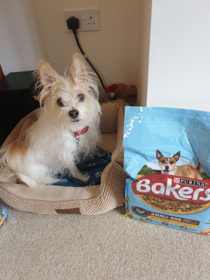 Bakers Small Breed Dry Adult Dog Food Chicken and Veg 2.85kg