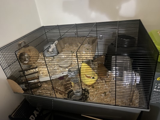 Pets at home large wire hamster home top