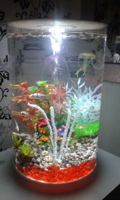 BiOrb TUBE LED Aquarium White 30 Litre Pets At Home