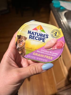 Nature s Recipe Grain Free Chicken Lamb in Broth Dog Food