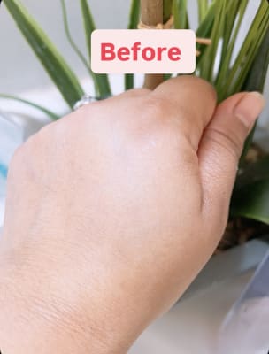 View Gallery Image #3