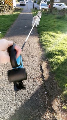Flexi Multi Box Extending Dog Lead Accessory Light Grey Pets At Home