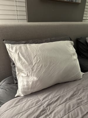 View Gallery Image #5