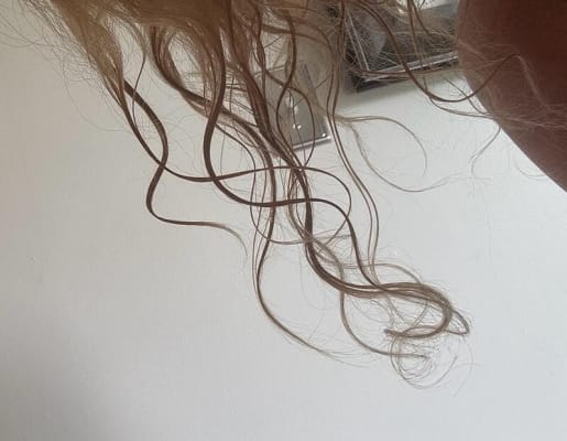View Gallery Image #8