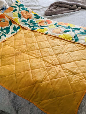 Old navy picnic blanket 2025