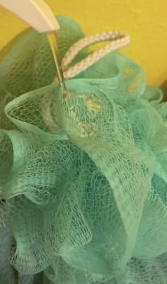 View Gallery Image #11