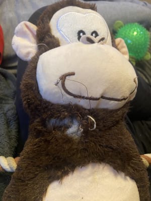 Pets at home monkey dog toy discount