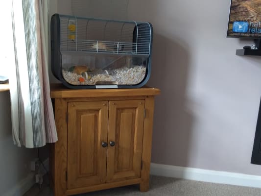 Savic lugano gerbil cage clearance
