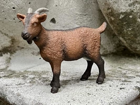 Schleich goat kid clearance