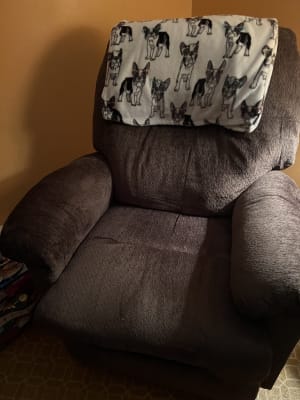 Hudson Chocolate Swivel Rocker Recliner Big Lots