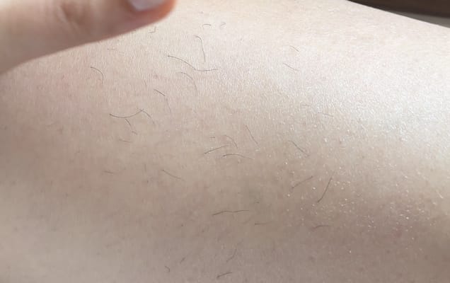 View Gallery Image #6